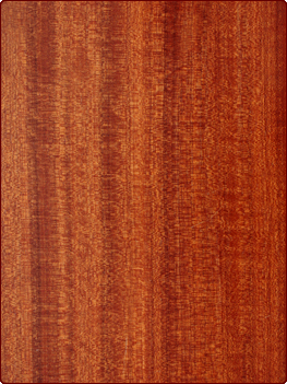 Holz-Material