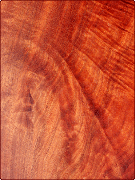 Holz-Material